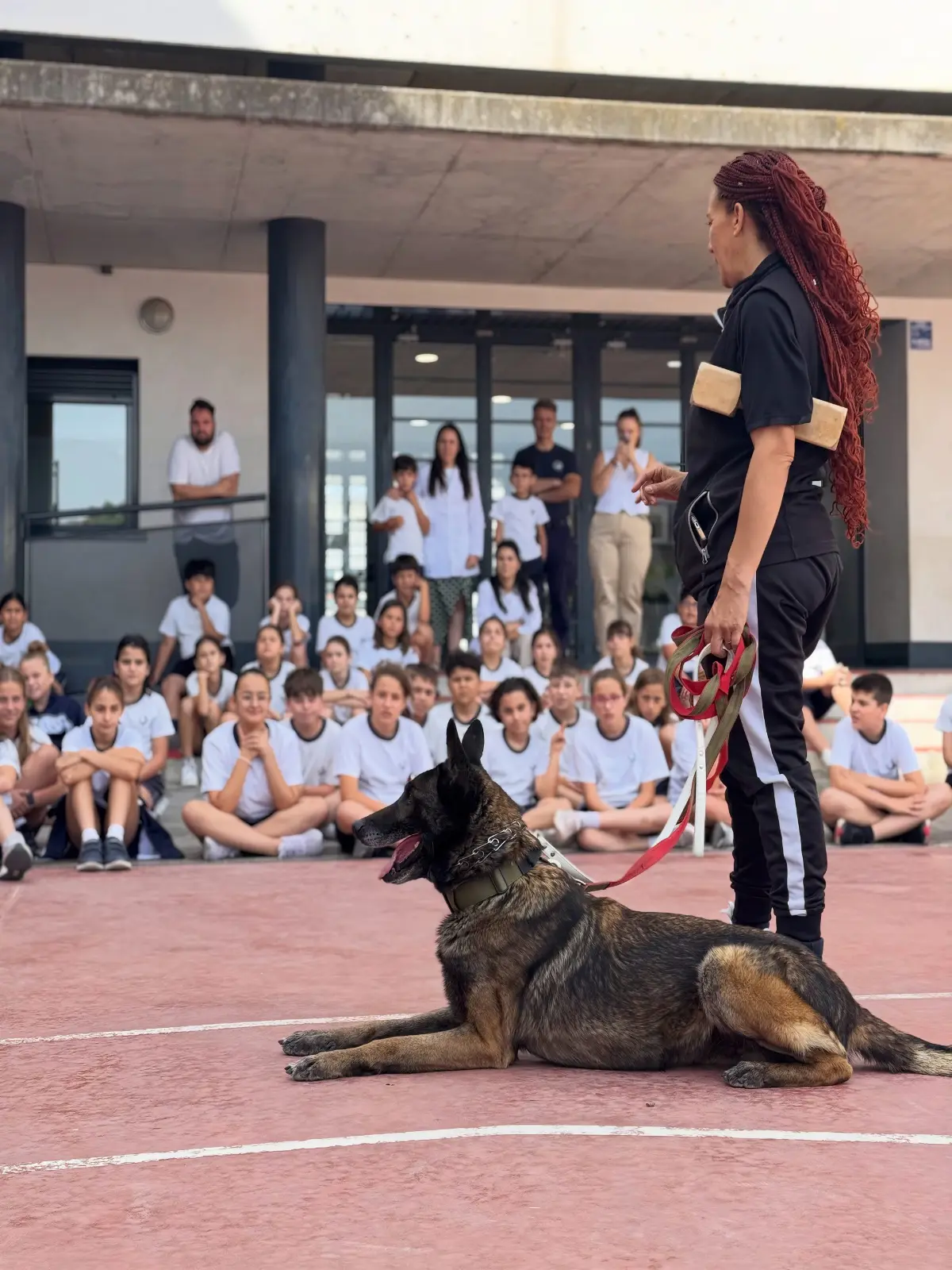 Jornada de concienciación animal con la Asociación Ladridos