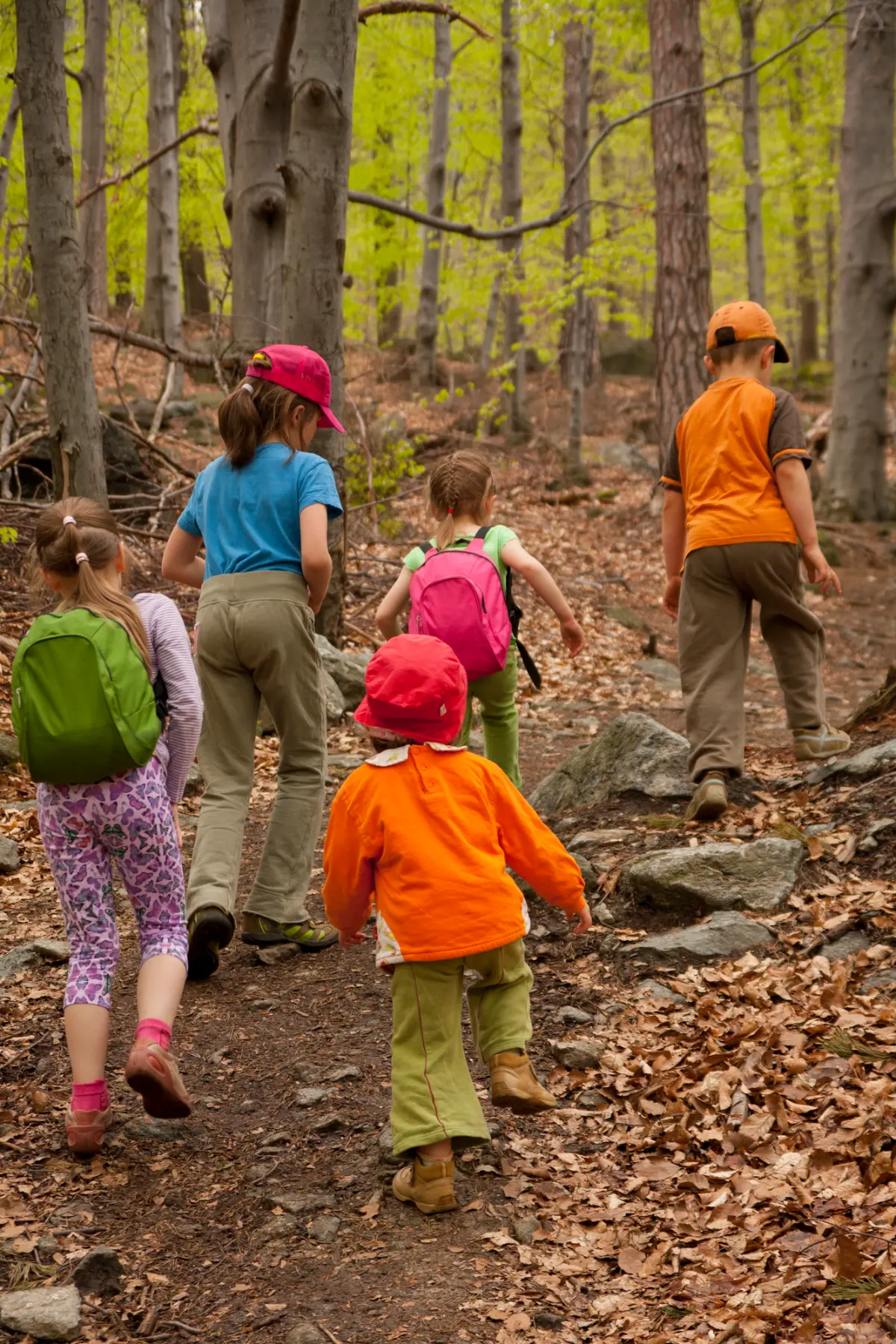Excursión por el bosque en los campamentos del colegio
